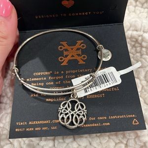 Alex and Ani Path of Life Charm Bracelet